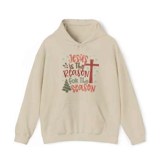 Jesus is The Reason Christmas Hoodie